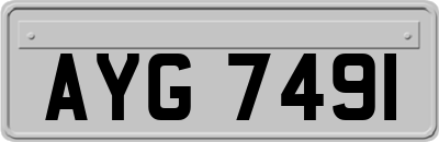 AYG7491