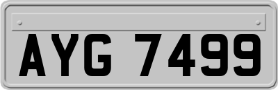 AYG7499