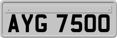 AYG7500