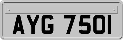AYG7501