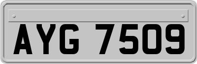 AYG7509