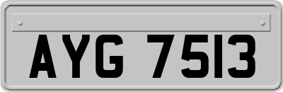 AYG7513