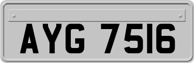 AYG7516