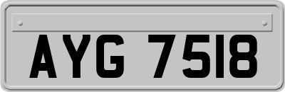 AYG7518