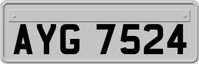 AYG7524