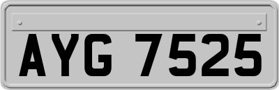 AYG7525