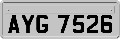 AYG7526