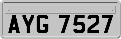 AYG7527