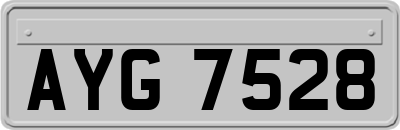 AYG7528
