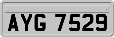AYG7529