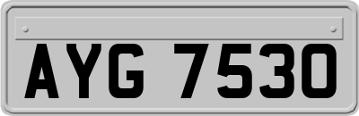AYG7530