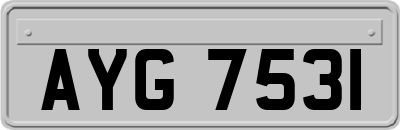 AYG7531