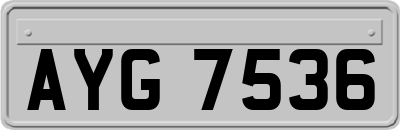 AYG7536
