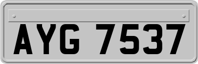 AYG7537