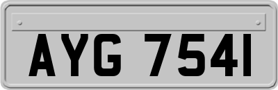 AYG7541