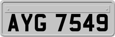 AYG7549