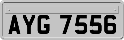AYG7556