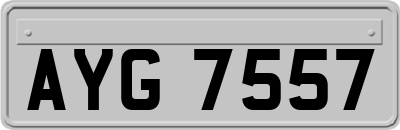 AYG7557