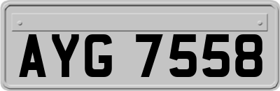 AYG7558
