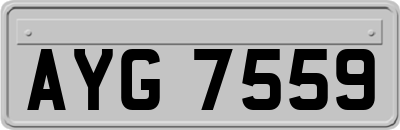 AYG7559