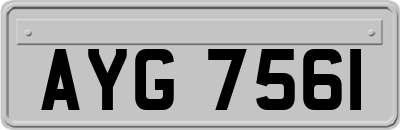 AYG7561