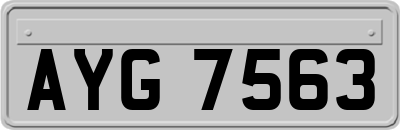 AYG7563