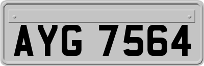 AYG7564
