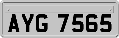 AYG7565