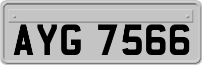 AYG7566