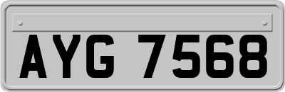 AYG7568