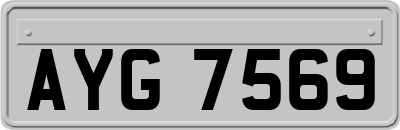 AYG7569