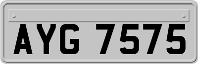 AYG7575