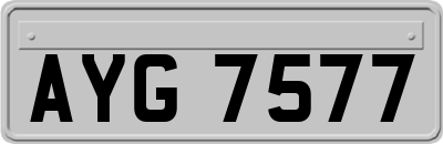 AYG7577