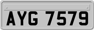 AYG7579