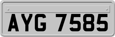 AYG7585