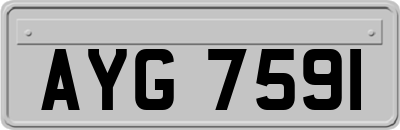 AYG7591