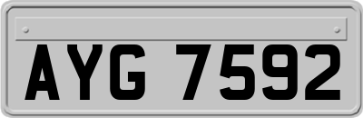 AYG7592