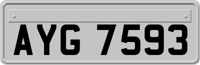 AYG7593