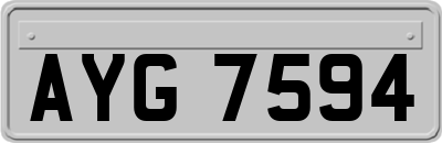 AYG7594