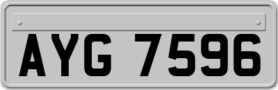 AYG7596