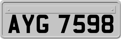 AYG7598