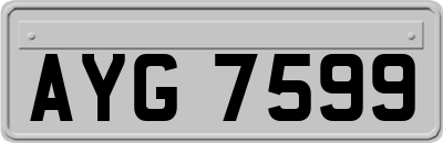 AYG7599