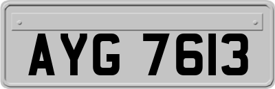 AYG7613