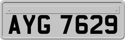 AYG7629