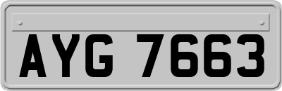 AYG7663