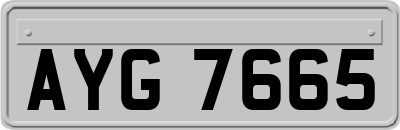 AYG7665