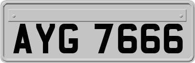 AYG7666