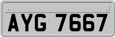 AYG7667