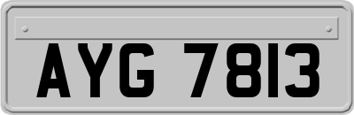 AYG7813