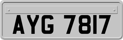 AYG7817